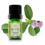 Verbena Índia 5ml