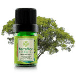 Ho Wood 5ml