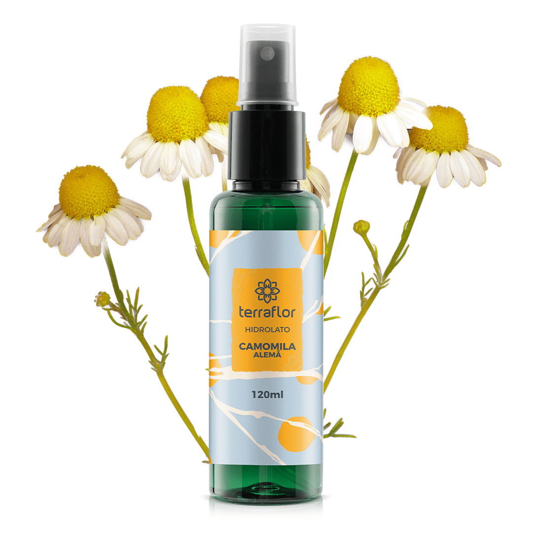 hidrolato-camomila-alema Frasco de hidrolato Camomila Alemã (Chamomilla recutita) Terra Flor