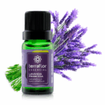 Frasco de óleo essencial Lavanda Francesa (Lavandula angustifolia) Terra Flor