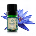 Frasco de óleo essencial Lótus Azul (Nymphaea caerulea) diluído a 10% Terra Flor