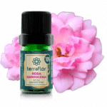 Frasco de óleo essencial Rosa Damascena (Rosa damascena) diluído a 10% Terra Flor