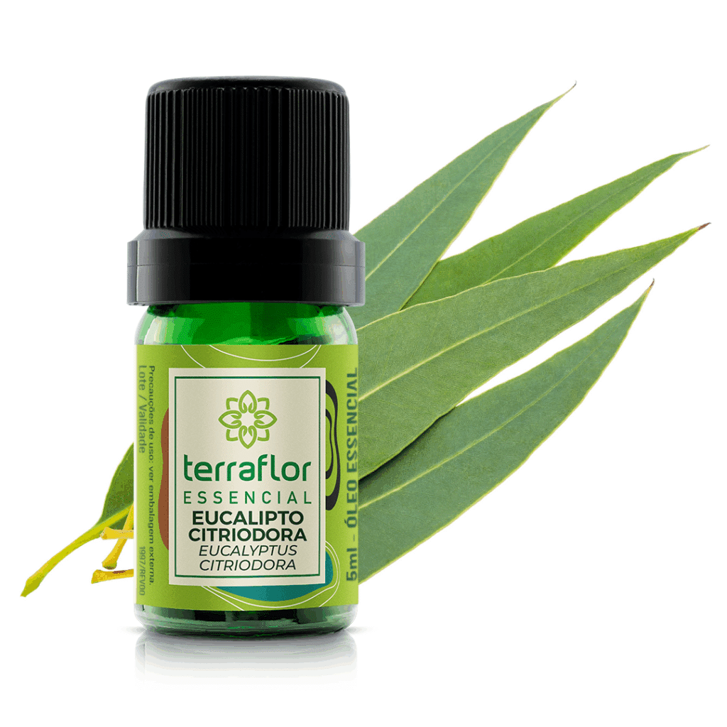 Frasco de óleo essencial Eucalipto Citriodora (Eucalyptus citriodora) Terra Flor