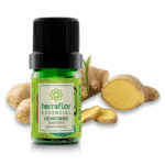 Gengibre 5ml