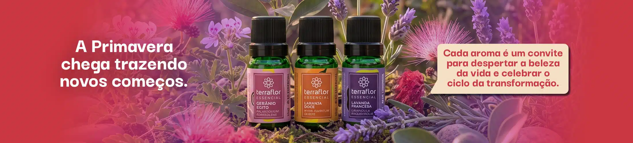 A primavera chega trazendo novos começos 🌬️🌸