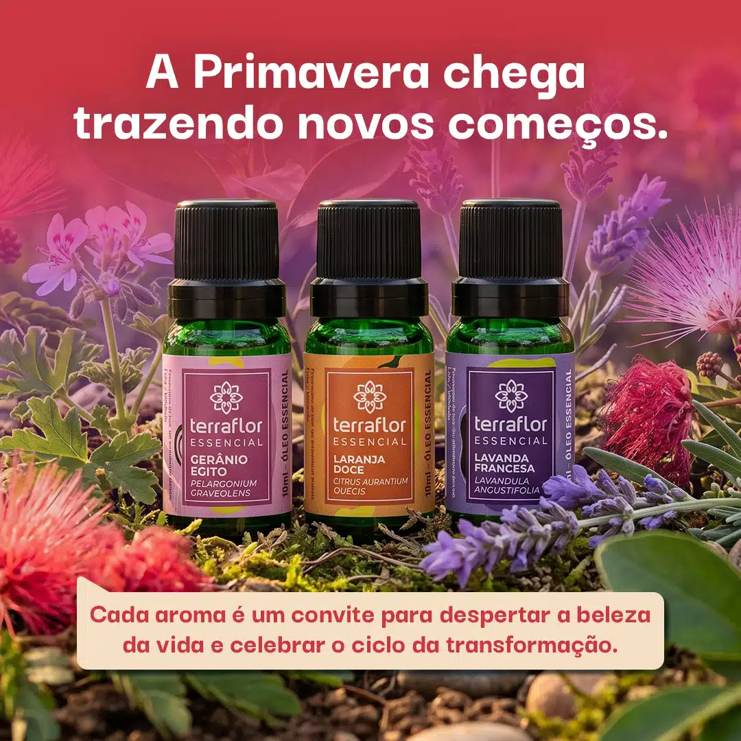 A primavera chega trazendo novos começos 🌬️🌸